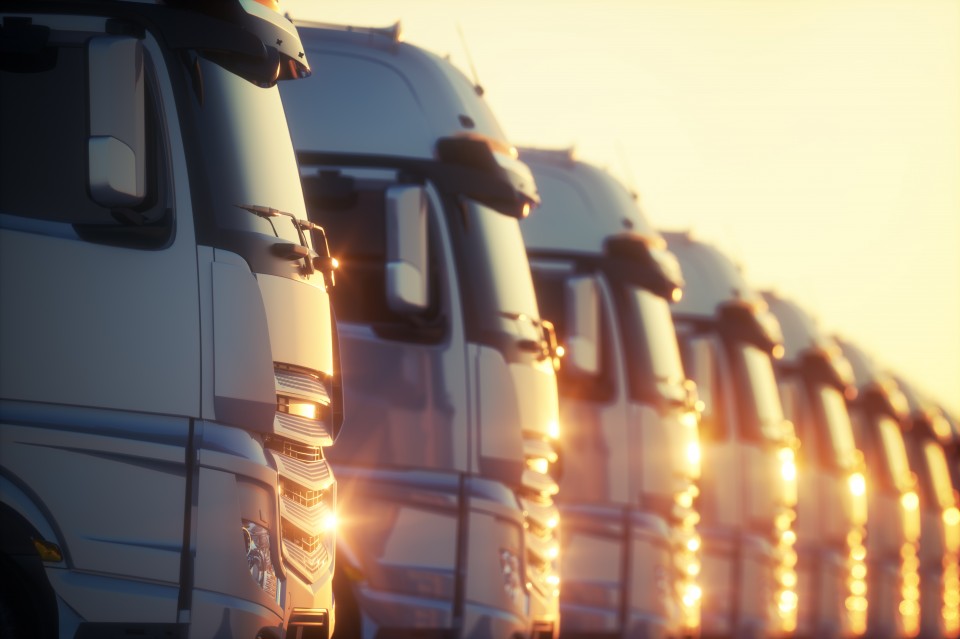 様々なダンプやトラックを所有！